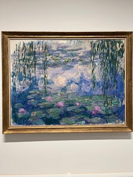 モネ 睡蓮のとき（豊田会場）に投稿された画像（2025/6/30）
