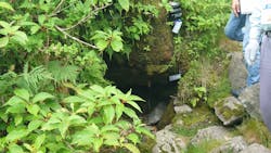 DMO推進室に投稿された画像（2025/6/30）