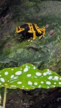 サンシャイン水族館に投稿された画像（2025/6/30）