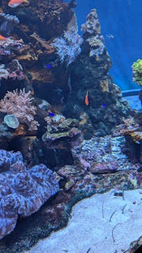 サンシャイン水族館に投稿された画像（2025/6/30）