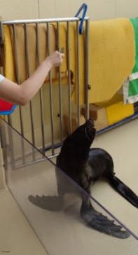 新江ノ島水族館に投稿された画像（2025/6/30）