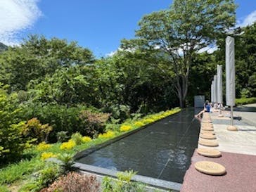 彫刻の森美術館に投稿された画像（2025/6/30）