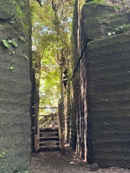 ウィーガイド鋸山に投稿された画像（2025/6/30）