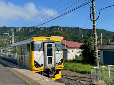 ウィーガイド鋸山に投稿された画像（2025/6/30）