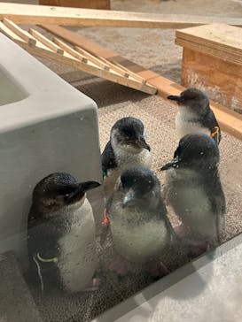 AOAO SAPPOROに投稿された画像（2025/6/30）