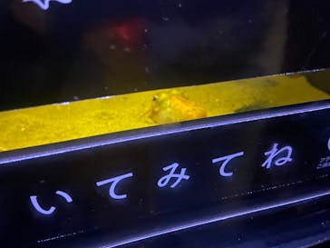 新江ノ島水族館に投稿された画像（2025/6/30）