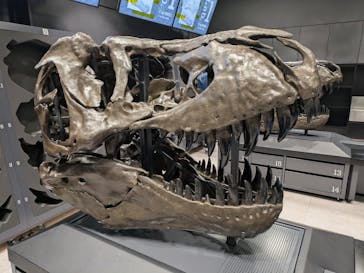 福井県立恐竜博物館に投稿された画像（2025/6/30）