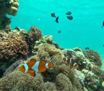 宮古島マリン SUGAR3（シュガースリー）に投稿された画像（2025/6/30）