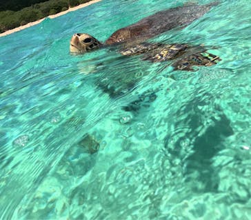 宮古島マリン SUGAR3（シュガースリー）に投稿された画像（2025/6/30）