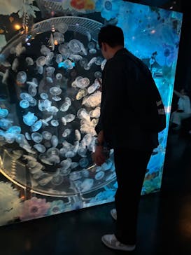 マクセル アクアパーク品川に投稿された画像（2025/6/30）