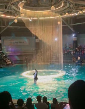 マクセル アクアパーク品川に投稿された画像（2025/6/30）