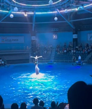 マクセル アクアパーク品川に投稿された画像（2025/6/30）