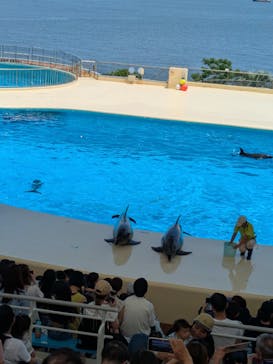 マリンワールド海の中道に投稿された画像（2025/6/30）