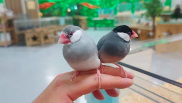 いきもの探検隊に投稿された画像（2025/6/30）