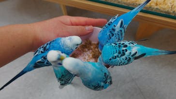 いきもの探検隊に投稿された画像（2025/6/30）