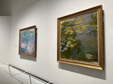 モネ 睡蓮のとき（豊田会場）に投稿された画像（2025/6/30）