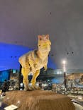福井県立恐竜博物館に投稿された画像（2025/6/30）