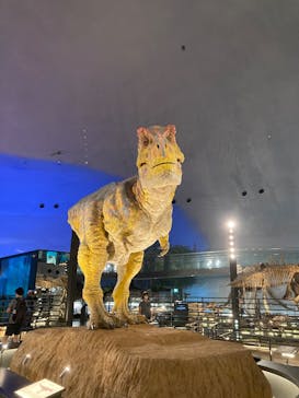 福井県立恐竜博物館に投稿された画像（2025/6/30）