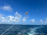 parasailing NOA（パラセーリング  ノア）に投稿された画像（2025/6/30）