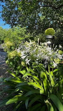 安城産業文化公園デンパークに投稿された画像（2025/6/30）