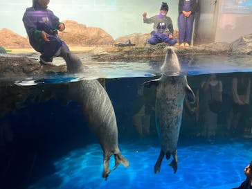 マクセル アクアパーク品川に投稿された画像（2025/6/30）