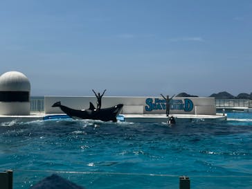 鴨川シーワールドに投稿された画像（2025/6/30）