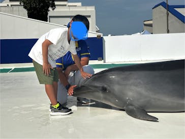 鴨川シーワールドに投稿された画像（2025/6/30）