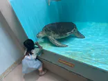 仙台うみの杜水族館に投稿された画像（2025/6/30）