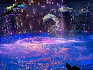 マクセル アクアパーク品川に投稿された画像（2025/6/30）