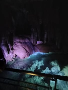 おきなわワールドに投稿された画像（2025/6/30）