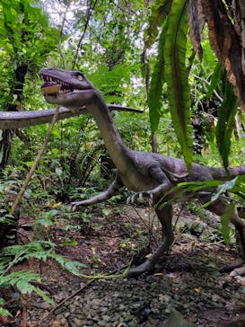 御菓子御殿　名護店　やんばる亜熱帯の森DINO恐竜PARKに投稿された画像（2025/6/30）