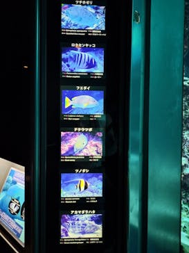 沖縄美ら海水族館に投稿された画像（2025/6/30）