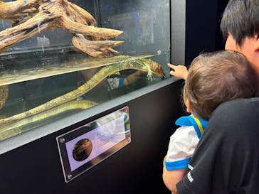 NARA KINGYO MUSEUMに投稿された画像（2025/6/30）