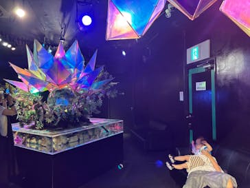 NARA KINGYO MUSEUMに投稿された画像（2025/6/30）