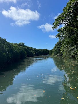  マリンショップHAPPYに投稿された画像（2025/6/30）