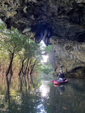  マリンショップHAPPYに投稿された画像（2025/6/30）