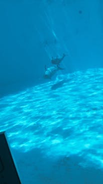 名古屋港水族館に投稿された画像（2025/7/1）