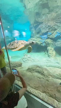 名古屋港水族館に投稿された画像（2025/7/1）