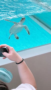 名古屋港水族館に投稿された画像（2025/7/1）