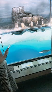 名古屋港水族館に投稿された画像（2025/7/1）