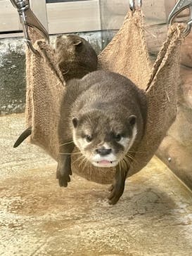 伊豆・三津シーパラダイスに投稿された画像（2025/7/1）