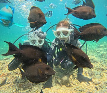 沖縄マリンサービス碧に投稿された画像（2025/7/1）