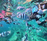 沖縄マリンサービス碧に投稿された画像（2025/7/1）