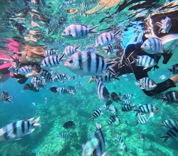 沖縄マリンサービス碧に投稿された画像（2025/7/1）