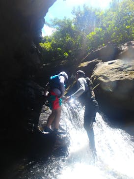西表島 海月（くらげ）に投稿された画像（2025/7/1）