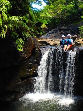 西表島 海月（くらげ）に投稿された画像（2025/7/1）