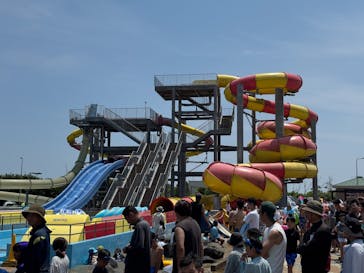 蓮沼ウォーターガーデンに投稿された画像（2025/7/1）