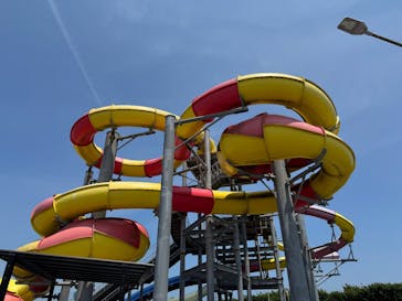 蓮沼ウォーターガーデンに投稿された画像（2025/7/1）