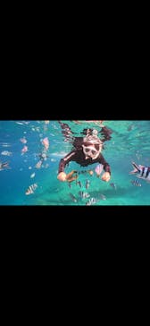 武藤潜水に投稿された画像（2025/7/1）