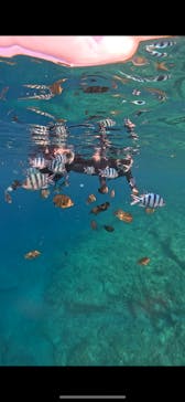 武藤潜水に投稿された画像（2025/7/1）